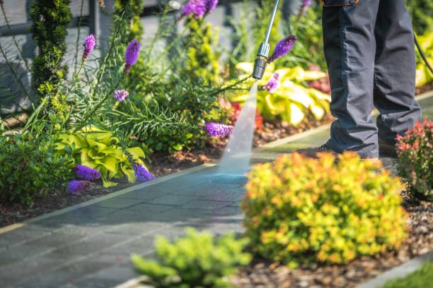 Best Winterizing Services  in Bluewell, WV